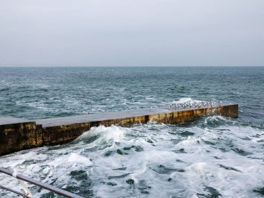 Martılar bir dalgakıran veya taş deniz iskele tarafta dinleniyor. Kış günü, deniz manzarası.