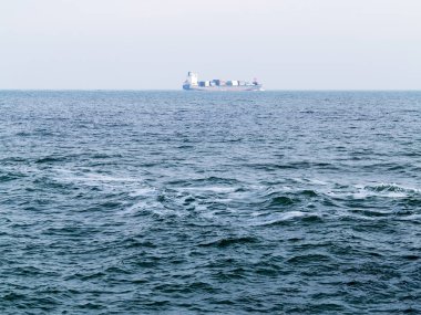 Martılar bir dalgakıran veya taş deniz iskele tarafta dinleniyor. Kış günü, deniz manzarası.