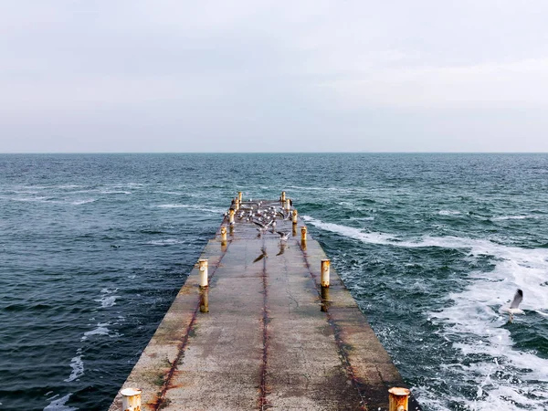 Martılar bir dalgakıran veya taş deniz iskele tarafta dinleniyor. Kış günü, deniz manzarası.