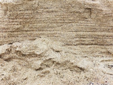 Kum tepeciği küçük bir kanala çöktü ve iç dokuyu ortaya çıkardı.