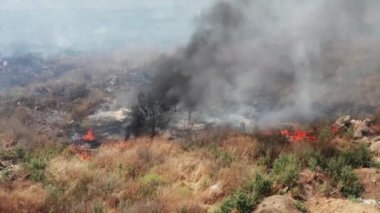 Yasadışı ev atığı yakma, çöp. Atmosfere ateş, duman ve zehirli duman bulutu. Çöp yakarak havaya karışan duman. Açık arazide atık yakmaktan kaynaklanan kirlilik. Kuru gras yakılıyor