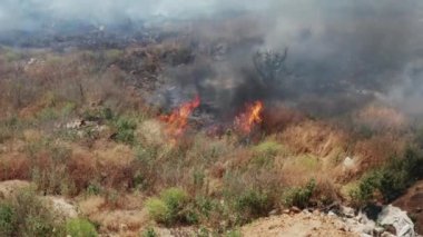 Yasadışı ev atığı yakma, çöp. Atmosfere ateş, duman ve zehirli duman bulutu. Çöp yakarak havaya karışan duman. Açık arazide atık yakmaktan kaynaklanan kirlilik. Kuru gras yakılıyor