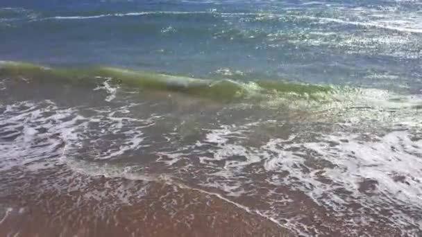 Homokos Strand Óceáni Szökőárral Összeomlik Egy Homokos Strandon Fröccsenő Légi — Stock videók