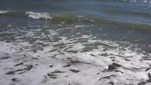 Praia Areia Com Ondas Maré Oceânicas Batendo Uma Praia Areia — Vídeo de Stock