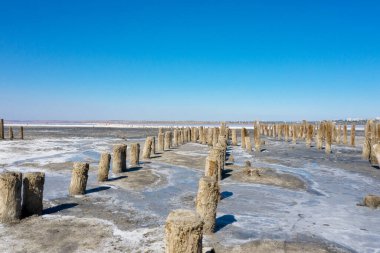 Yazın Odessa, Ukrayna 'da Tuzlu Pembe Göl manzarası güneşli bir günde Kuyalnik. Canlı renklerde tuzlu ve berrak bir gökyüzü. Su, güçlü yaz kuraklığının çok gerisine çekildi. Ekolojik felaket. Doğanın yıkımı
