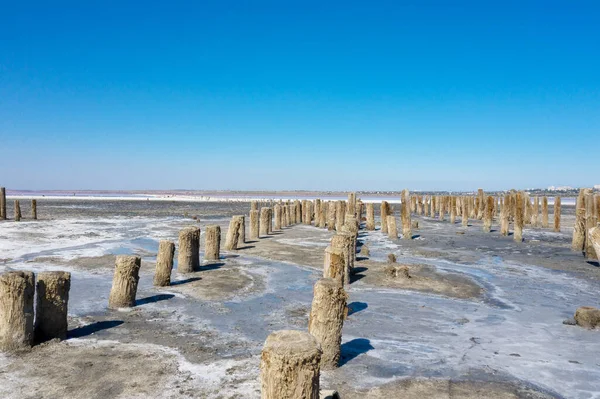 Yazın Odessa, Ukrayna 'da Tuzlu Pembe Göl manzarası güneşli bir günde Kuyalnik. Canlı renklerde tuzlu ve berrak bir gökyüzü. Su, güçlü yaz kuraklığının çok gerisine çekildi. Ekolojik felaket. Doğanın yıkımı