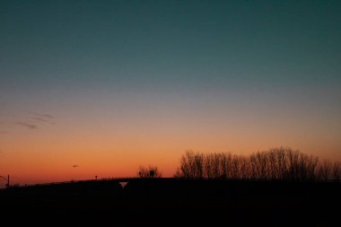 Gün batımında renk değişimine sahip ağaçların siluetini gösteren manzara