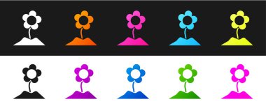 Çiçek simgesini siyah beyaz arkaplanda izole et. Vektör İllüstrasyonu