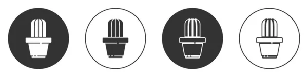 Schwarzer Kaktus Und Sukkulente Topf Isoliert Auf Weißem Hintergrund Pflanze — Stockvektor