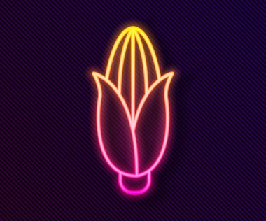 Parlayan neon hattı mısır ikonu siyah arkaplanda izole edildi. Vektör İllüstrasyonu