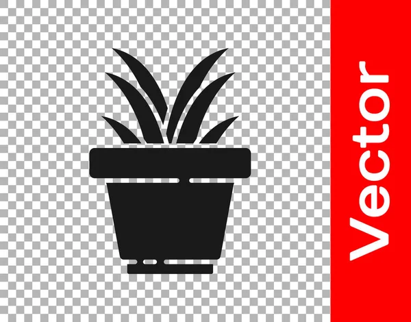 Flor Negra Maceta Icono Aislado Sobre Fondo Transparente Planta Creciendo — Vector de stock