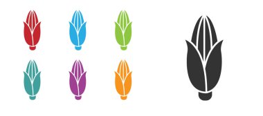 Siyah Mısır simgesi beyaz arkaplanda izole edildi. Simgeleri renklendirin. Vektör İllüstrasyonu.