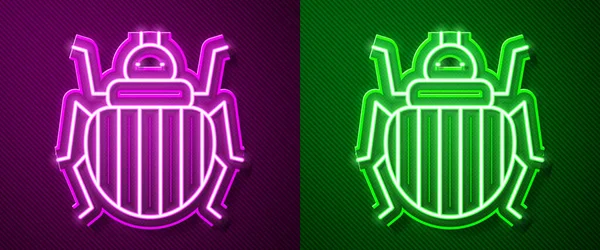 Glowing Neon Line Colorado Beetle Icon Isolated Purple Green Background — Stock Vector