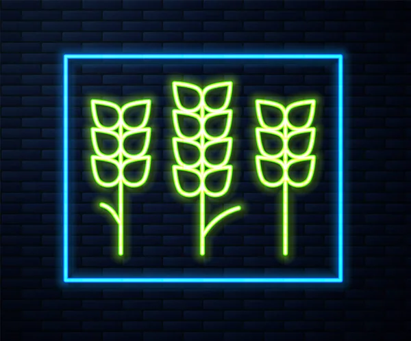 Светящиеся Неоновые Линии Зерна Украшенные Рисом Пшеницей Кукурузой Овсянкой Ржаным — стоковый вектор