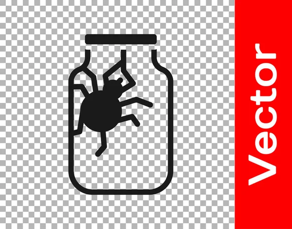Spider Nero Vaso Icona Isolato Sfondo Trasparente Buona Festa Halloween — Vettoriale Stock