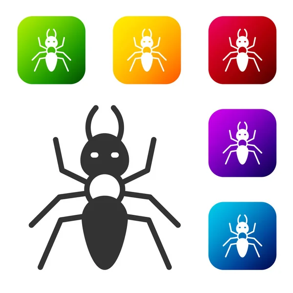 Black Ant Symbol Isoliert Auf Weißem Hintergrund Setzen Sie Symbole — Stockvektor
