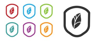 Beyaz arka planda yaprak simgesi olan Siyah Kalkan. Yapraklı çevre dostu güvenlik kalkanı. Simgeleri renklendirin. Vektör İllüstrasyonu.