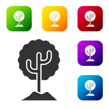Siyah ağaç simgesi beyaz arkaplanda izole edildi. Orman sembolü. Renkli kare düğmelerle simgeleri ayarla. Vektör İllüstrasyonu.