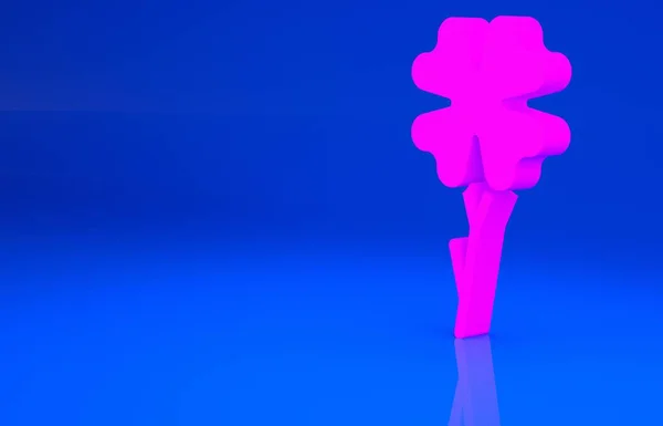 Rosa Icono de trébol de cuatro hojas aislado sobre fondo azul. Feliz día de San Patricio. Concepto minimalista. Ilustración 3d. Renderizado 3D — Foto de Stock
