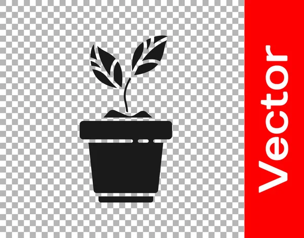 Plante Noire Pot Icône Isolée Sur Fond Transparent Plante Poussant — Image vectorielle