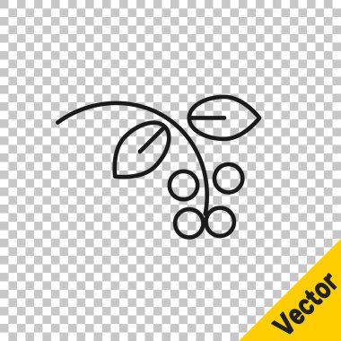 Siyah çizgi kahve çekirdeği, şeffaf arka planda yaprak ve dut ikonu olan bir dal. Yapraklı bitki, dut, meyve, tohum. Vektör İllüstrasyonu.