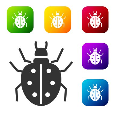 Siyah Mite simgesi beyaz arkaplanda izole edildi. Renkli kare düğmelerle simgeleri ayarla. Vektör.