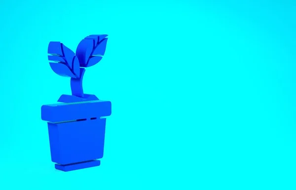 Niebieska roślina w ikonie garnka izolowane na niebieskim tle. Roślina rosnąca w doniczce. Rośliny doniczkowe. Koncepcja minimalizmu. Ilustracja 3D 3D renderowania — Zdjęcie stockowe