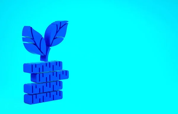블루 달러 식물 아이콘은 파란 배경에 분리되어 있습니다. 사업 투자 성장의 개념. 돈을 절약하고 투자 한다. 미니멀리즘의 개념입니다. 3d 삽화 3D 렌더링 — 스톡 사진