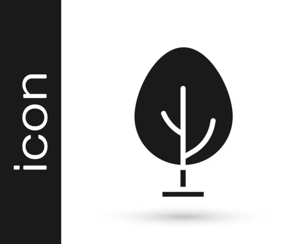 Icône Arbre Noir Isolé Sur Fond Blanc Symbole Forestier Vecteur — Image vectorielle