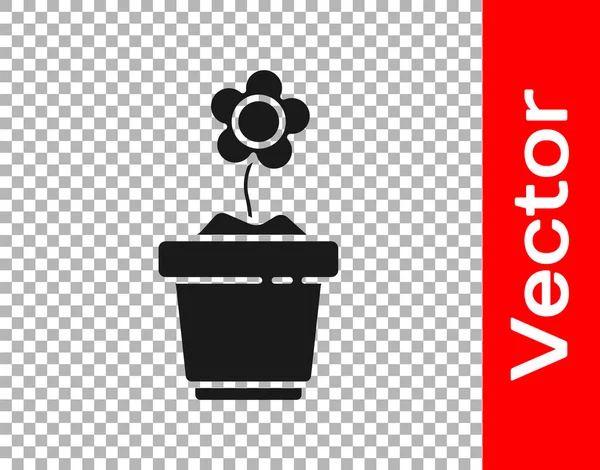 Şeffaf arkaplanda siyah çiçek ikonu izole edildi. Tencerede yetişen bir bitki. Saksı bitkisi işareti. Vektör İllüstrasyonu — Stok Vektör
