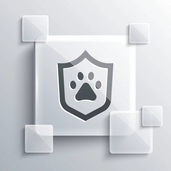 Grey Animal health insurance icon isolated on grey background. Pet protection concept. Dog or cat paw print. Square glass panels. Vector — Stock Vector