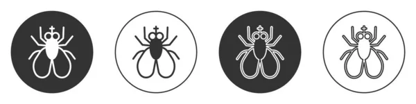 Icono de mosca insecto negro aislado sobre fondo blanco. Botón de círculo. Vector — Vector de stock