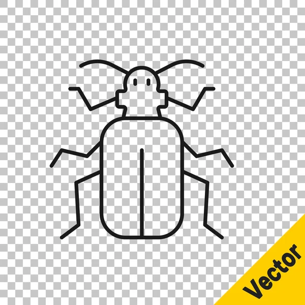 Icono de escarabajo Chafer de línea negra aislado sobre fondo transparente. Vector — Vector de stock