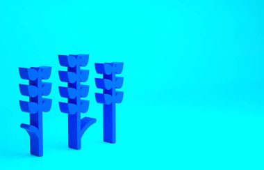 Mavi mısır gevrekleri; pirinç, buğday, mısır, yulaf, çavdar, mavi arka planda izole edilmiş arpa ikonu. Buğday ekmeği sembolleri. Minimalizm kavramı. 3d illüstrasyon 3B canlandırma.