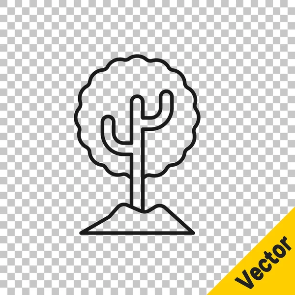 Schwarze Linie Baum-Symbol isoliert auf transparentem Hintergrund. Symbol Wald. Vektorillustration — Stockvektor