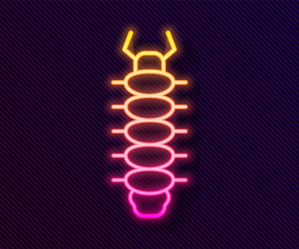 Glowing neon line Centipede insect icon isolated on black background. Vector — Stock Vector