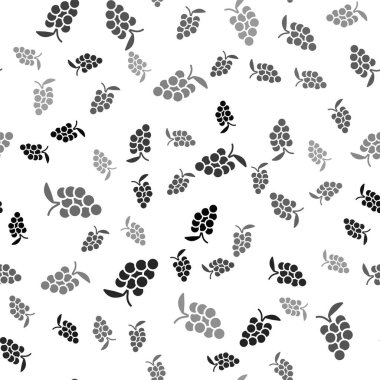 Siyah Üzüm meyve ikonu beyaz arka planda izole edilmiş pürüzsüz desen. Vektör.