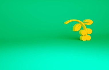 Turuncu kahve çekirdeği, yeşil arka planda yaprak ve dut ikonu olan bir dal. Yapraklı bitki, dut, meyve, tohum. Minimalizm kavramı. 3d illüstrasyon 3B canlandırma.