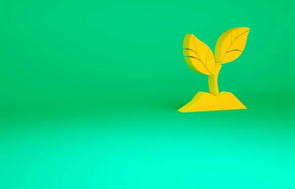 Orange Växt Ikon Isolerad Grön Bakgrund Frö Och Fröplanta Lämnar — Stockfoto