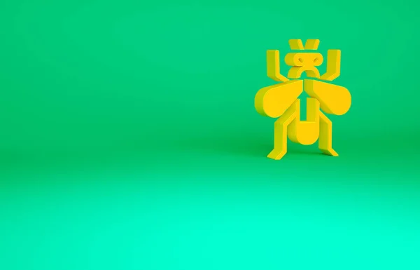 Иконка мухи оранжевого насекомого выделена на зеленом фоне. Концепция минимализма. 3D-рендеринг — стоковое фото