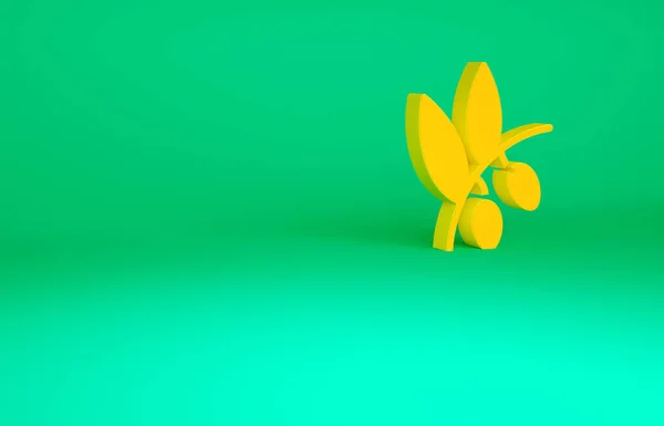 Ícone ramo azeitonas laranja isolado no fundo verde. Conceito de minimalismo. 3D ilustração 3D render — Fotografia de Stock