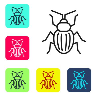 Siyah çizgi Chafer böceği simgesi beyaz arkaplanda izole edildi. Renkli kare düğmelerle simgeleri ayarla. Vektör.
