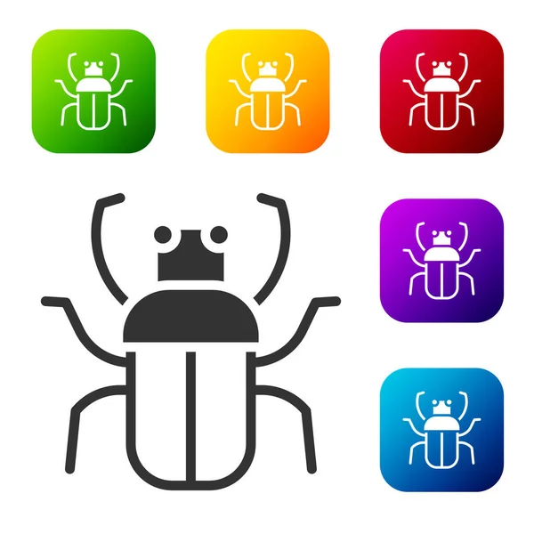 Black Stink Bug Icon Isoliert Auf Weißem Hintergrund Setzen Sie — Stockvektor