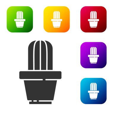 Siyah Kaktüs ve beyaz arka planda izole edilmiş tencere simgesinde sulu. Tencerede yetişen bir bitki. Saksı bitkisi işareti. Renkli kare düğmelerle simgeleri ayarla. Vektör İllüstrasyonu.