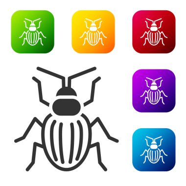 Siyah Shafer Böcek simgesi beyaz arkaplanda izole edildi. Renkli kare düğmelerle simgeleri ayarla. Vektör.