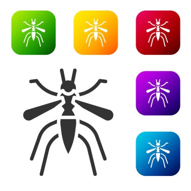 Siyah sivrisinek simgesi beyaz arkaplanda izole edilmiş. Renkli kare düğmelerle simgeleri ayarla. Vektör.