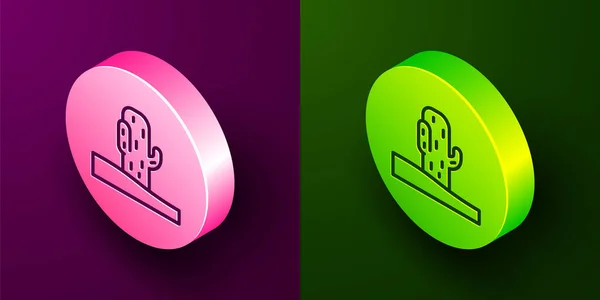 等距线仙人掌图标隔离在紫色和绿色背景 圆形按钮 — 图库矢量图片