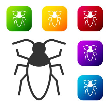 Siyah Hamamböceği simgesi beyaz arkaplanda izole edilmiş. Renkli kare düğmelerle simgeleri ayarla. Vektör.