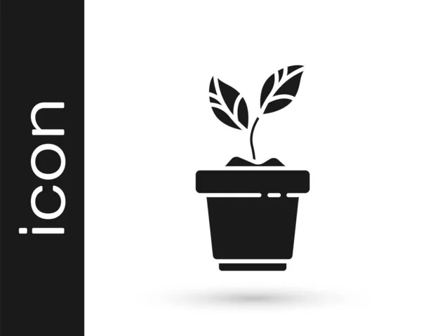 Grey Plant Pot Icoon Geïsoleerd Witte Achtergrond Planten Groeien Een — Stockvector