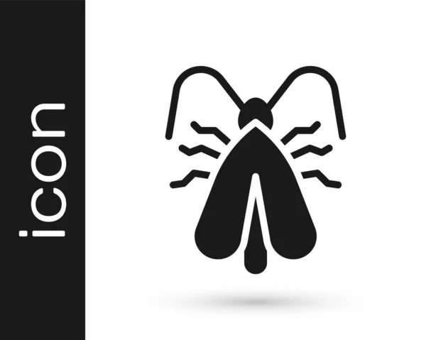 Black Clothes Moth Icon Isolated White Background Vector — Stock Vector
